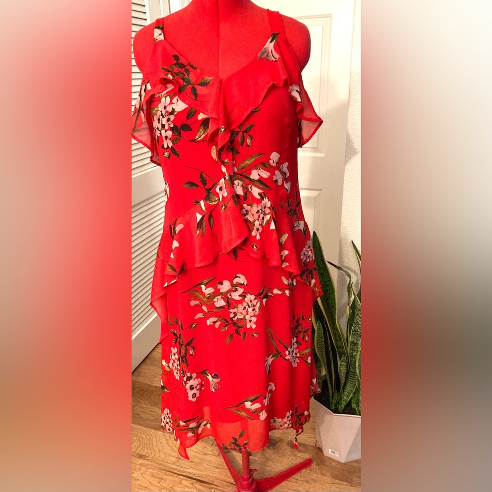 Ryan Michelle Ruffle Floral Dress Size Large